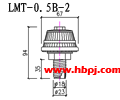 LMT-0.5B-2结构图(点击放大)