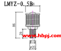 LMYZ-0.5B结构图(点击放大)