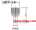 LMYP-1A结构图(点击放大)